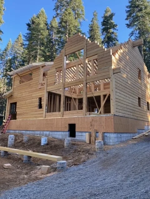 Gable end of a log home shell, roof framing standing open above full-height log walls with their window openings cut, on a concrete foundation among tall pines